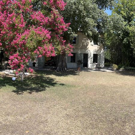Alpilles Camargue Mas Falabrego Raphèle エクステリア 写真
