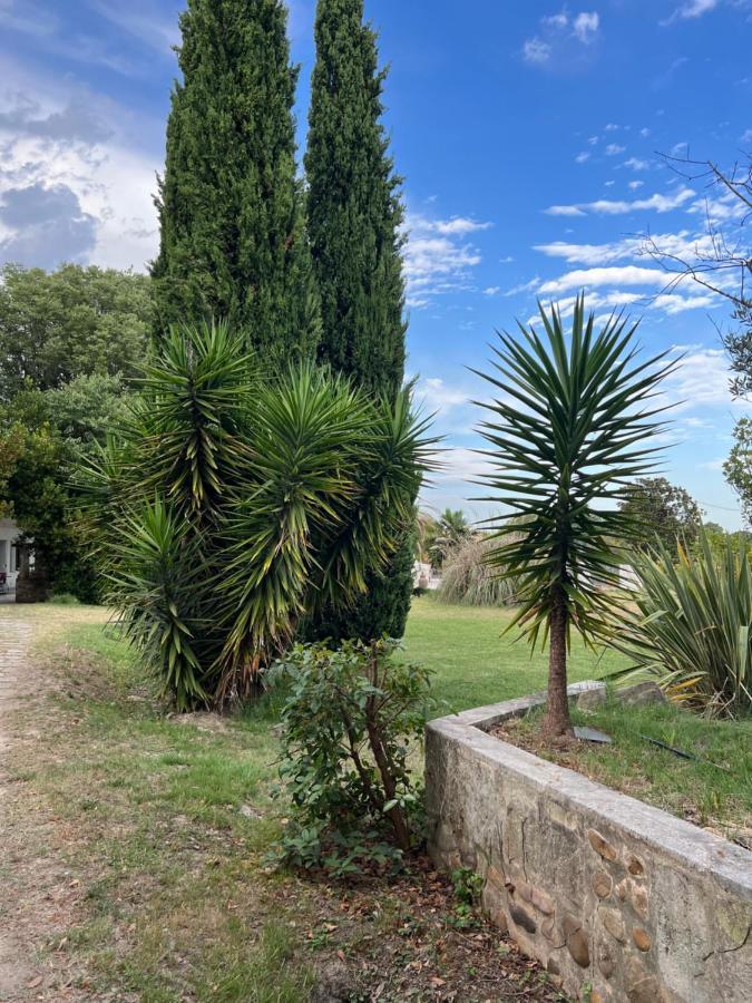 Alpilles Camargue Mas Falabrego Raphèle エクステリア 写真