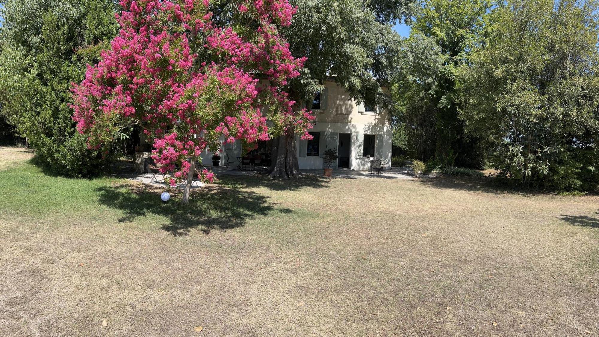 Alpilles Camargue Mas Falabrego Raphèle エクステリア 写真